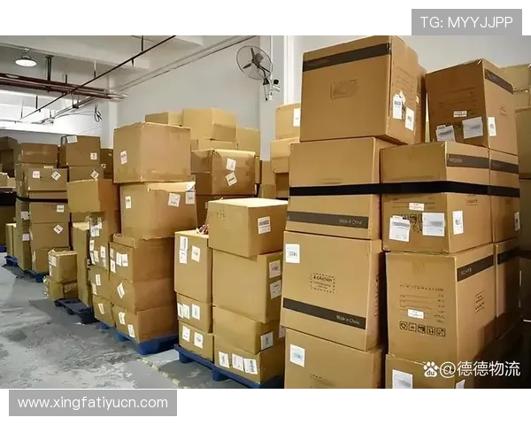 使用365速发国际，体验专业的国际快递服务，确保您的包裹安全快速送达全球各地