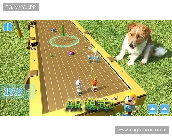 全面解析满冠体育滚球的规则与技巧提升你的竞技水平