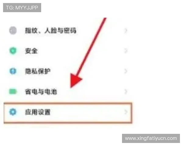 多米体育手机版下载确保安全稳定的下载体验，保障用户信息安全和隐私保护