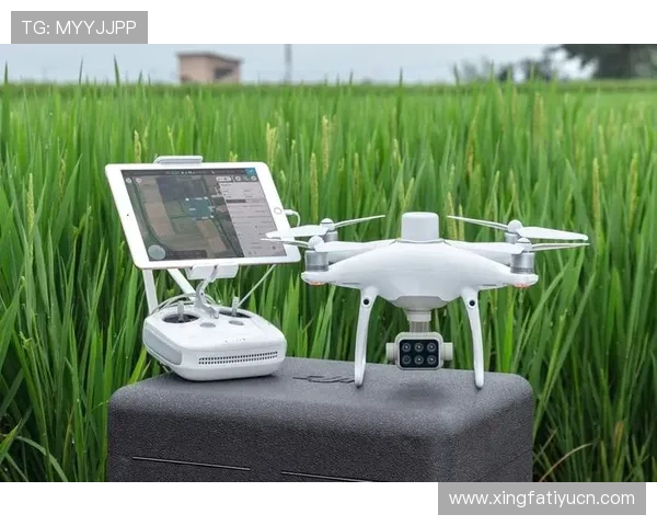 通过OD体育旗舰网站快速注册登录，轻松参与各种体育竞猜活动体验极致的娱乐乐趣